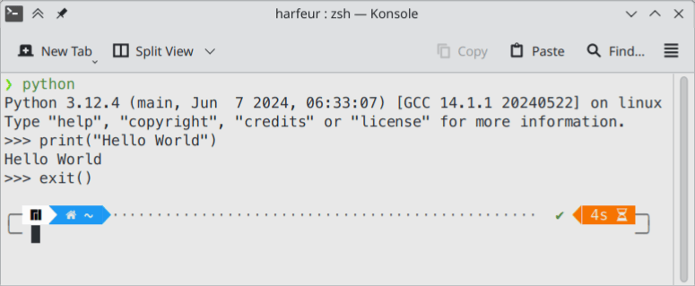 Terminal Python