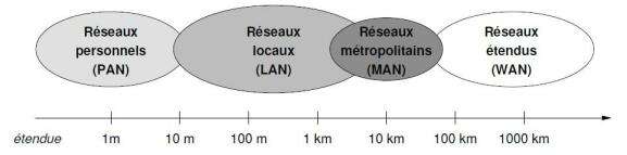 Classification