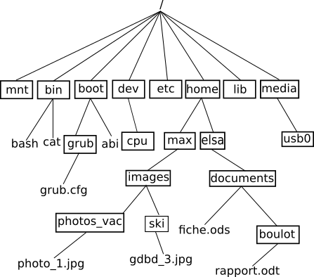 Arborescence simple
