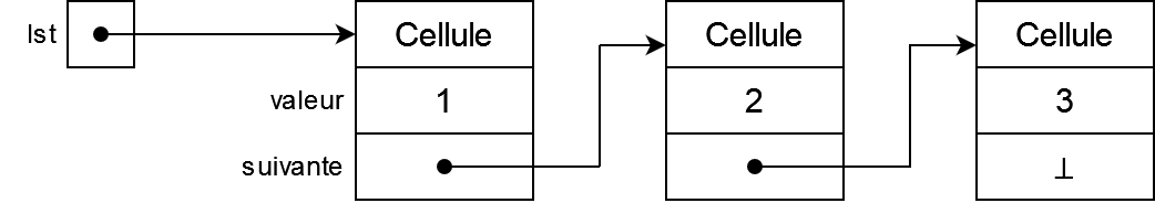 Cellules